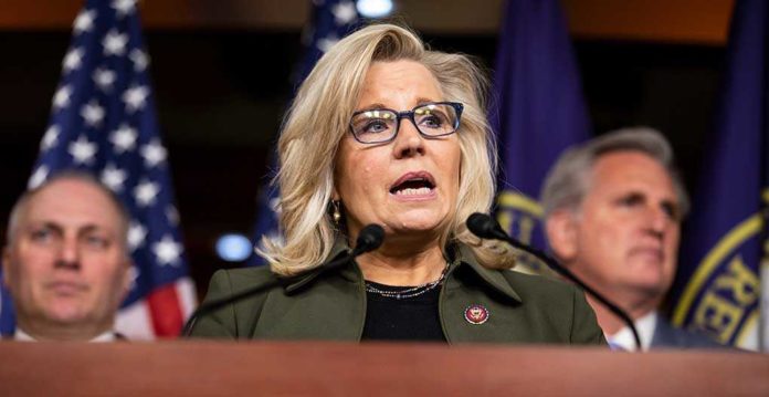 Liz Cheney Net Worth Increased by Millions During 6 Year Term