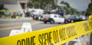 Tragic Death of Six-Year-Old in Hot Car Sparks Murder Charges Against Father