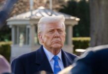 Cinema United CEO Supports Trumps' Tariffs on Foreign Films