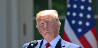 ‘TRAIN WRECK’: Trump Torches Elon Musk Over Third-Party Idea