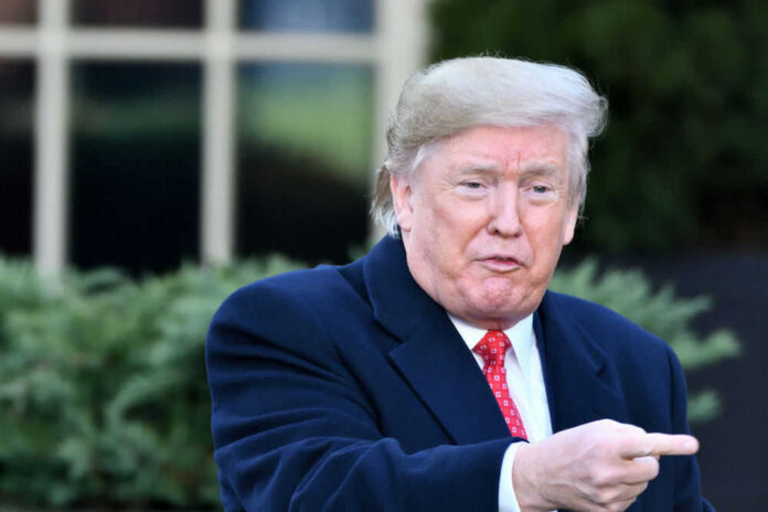 Person in suit pointing outside in garden setting