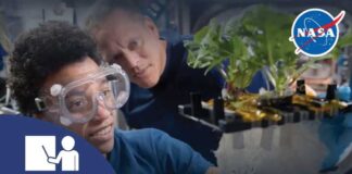 3D-Printed Nerves: ISS's Shocking Innovation