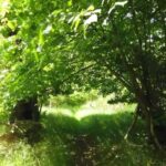 Do you believe that the elites are waging a class warfare