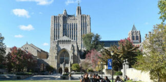 Sports Scandal: University Cuts Men's Teams