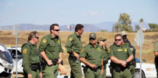 Group of law enforcement officers in green uniforms standing near traffic cones