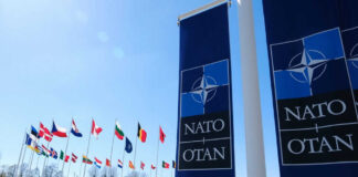 NATO Shock: Europe Preps Plan B