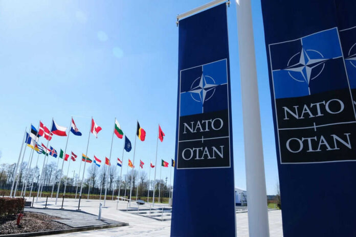 NATO Shock: Europe Preps Plan B