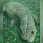 275-Million-Year-Old Jaw TWISTED — Scientists Baffled Ancient 'Living Fossil' Rewrites Early Tetrapod History