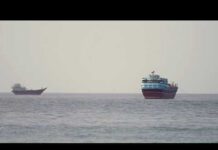 US and Iran halt daily attacks. What now?