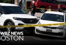 ICE Stop Turns Deadly On Busy Florida Road ICE Stop Turns Deadly On Busy Florida Road