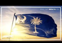 Power Vacuum Upends Senate Math South Carolina special primary election preview