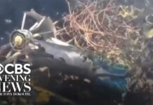5 Americans among 7 killed in luxury safari helicopter crash in Kenya