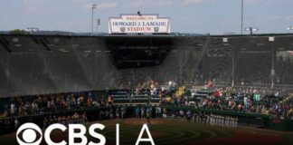 Little League World Series takes stand against online betting on youth games