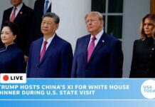 Planeside Power Play Stuns Washington Live: Donald Trump hosts Xi Jinping at White House dinner during China president's state visit