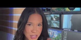 AI Agent Hacks Government System