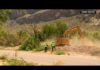 Judge temporarily halts border wall construction in Big Bend